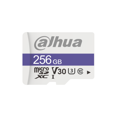 DHI-TF-C100/256GB